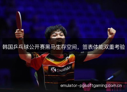 韩国乒乓球公开赛黑马生存空间，签表体能双重考验